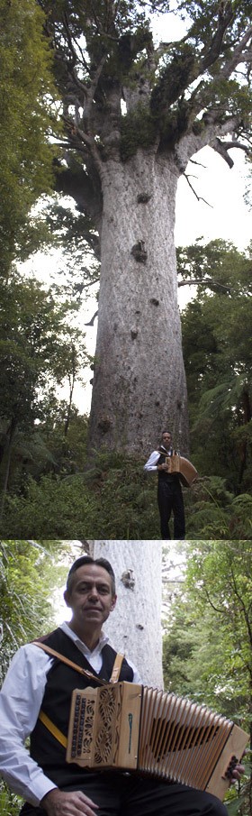 Kevin Friedrich and tree